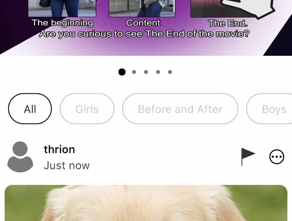 What is the app idea? How does the app work?