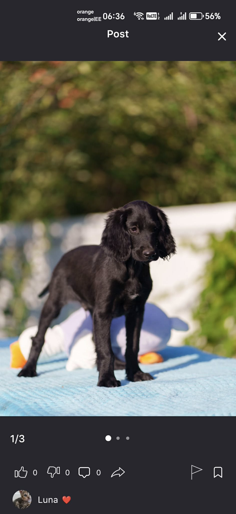 storytelling platforms that generate income