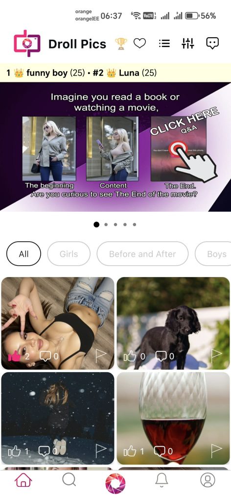 transparent startup investment opportunity