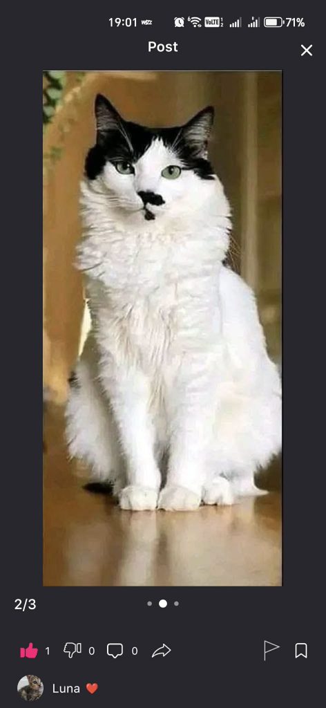 phone photography income ideas