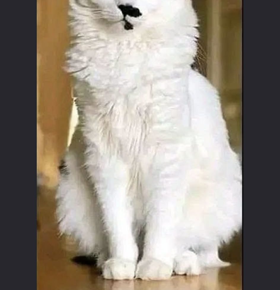 phone photography income ideas