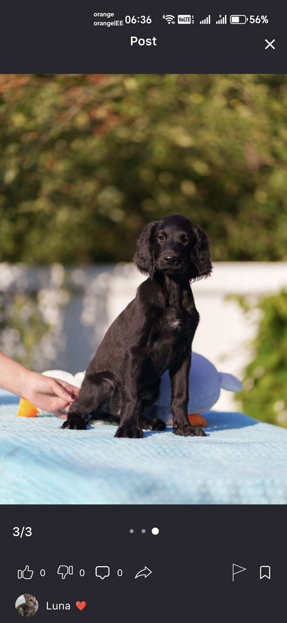 social media apps that pay users directly