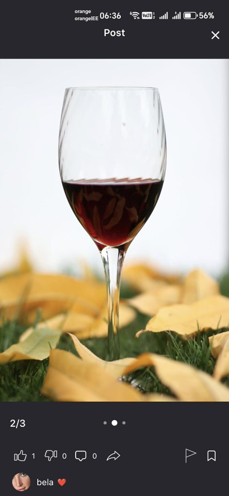 invest in platforms that pay creators