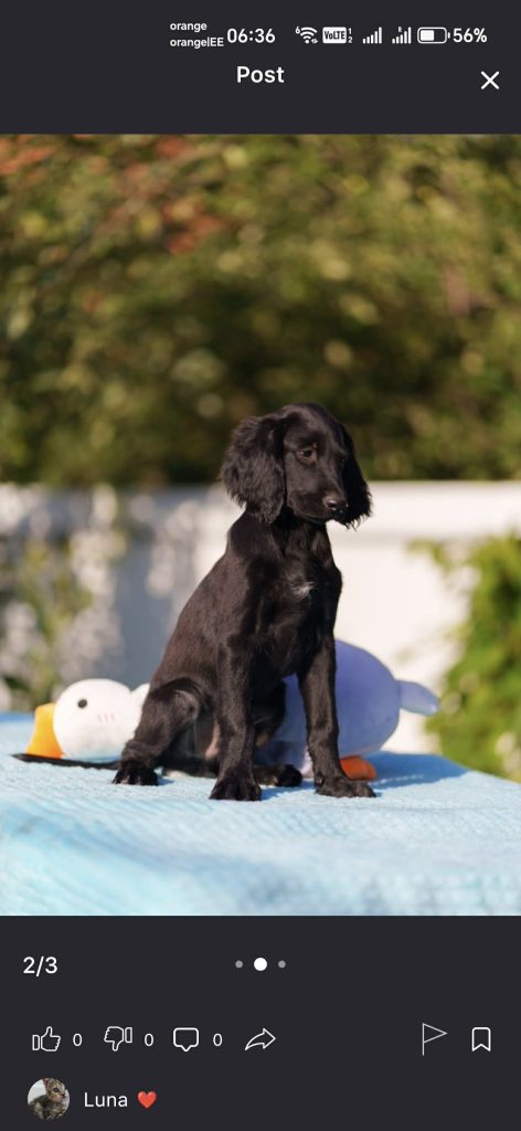 new income streams in uncertain economy