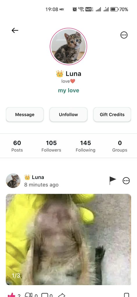 phone photography income ideas