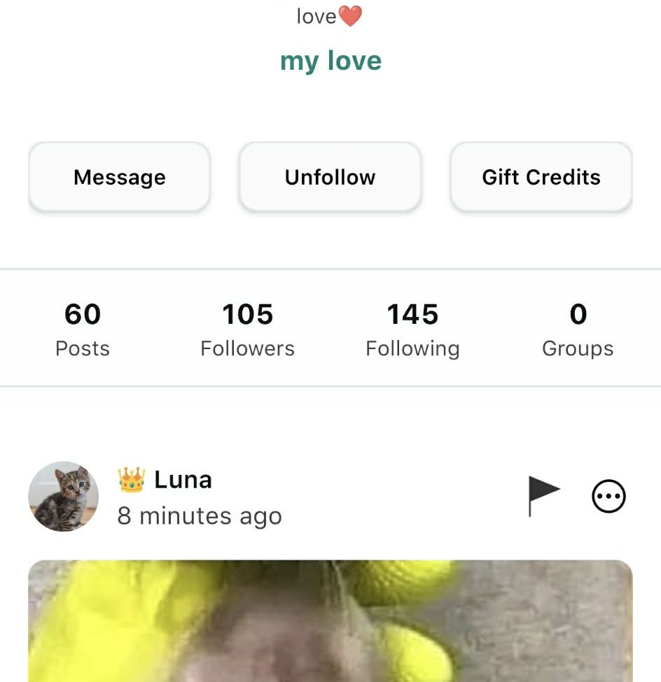 phone photography income ideas