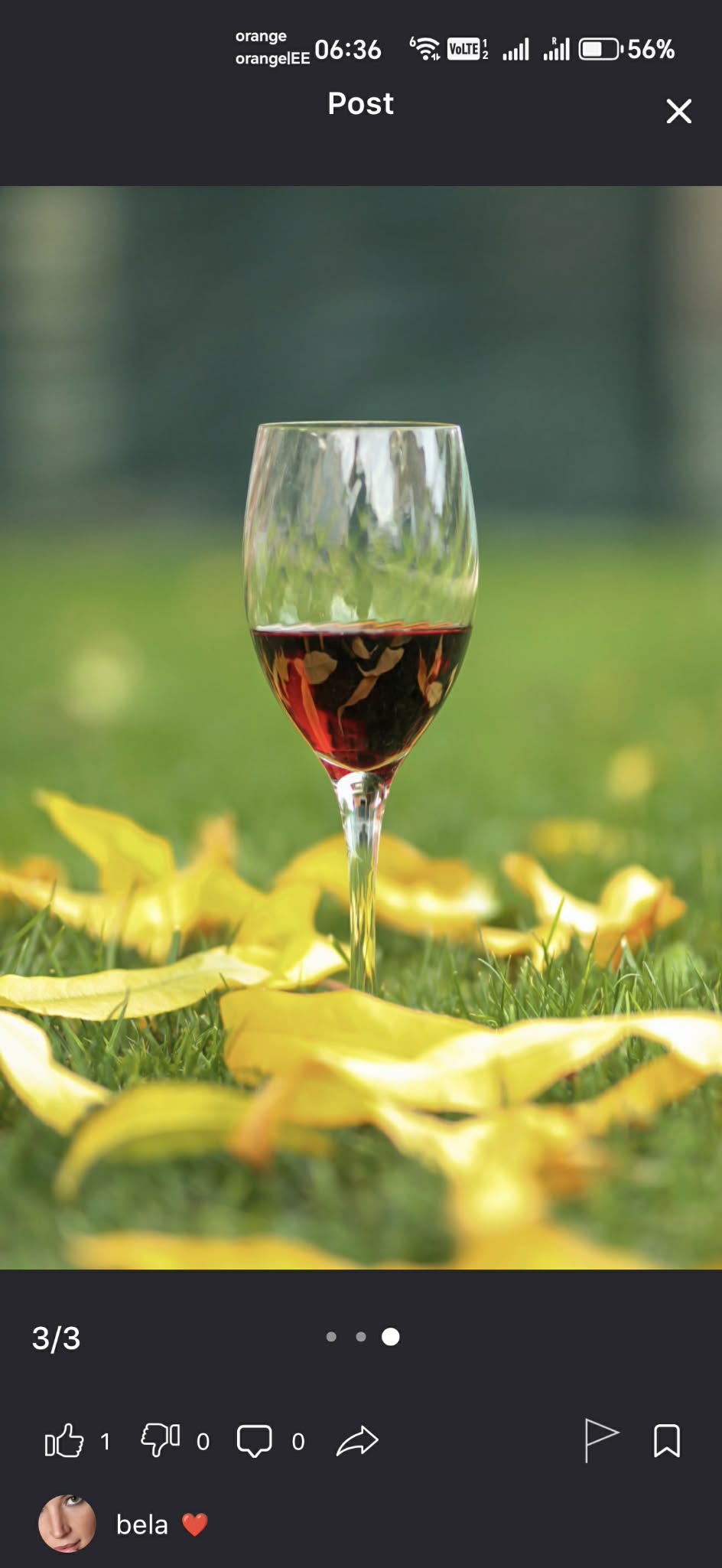 new social media business ideas that pay