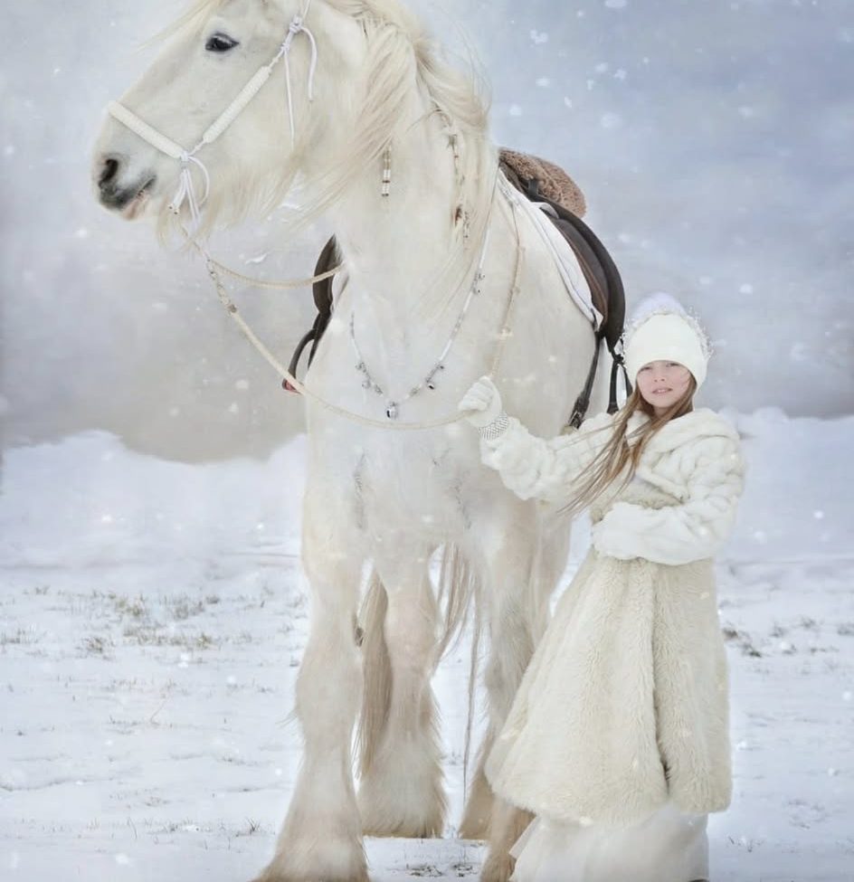 smartphone photo earnings