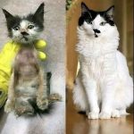 make side income selling photos