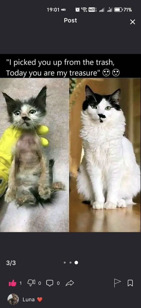 make side income selling photos