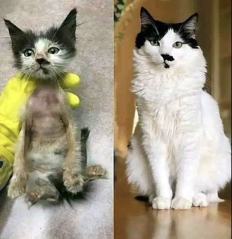 make side income selling photos